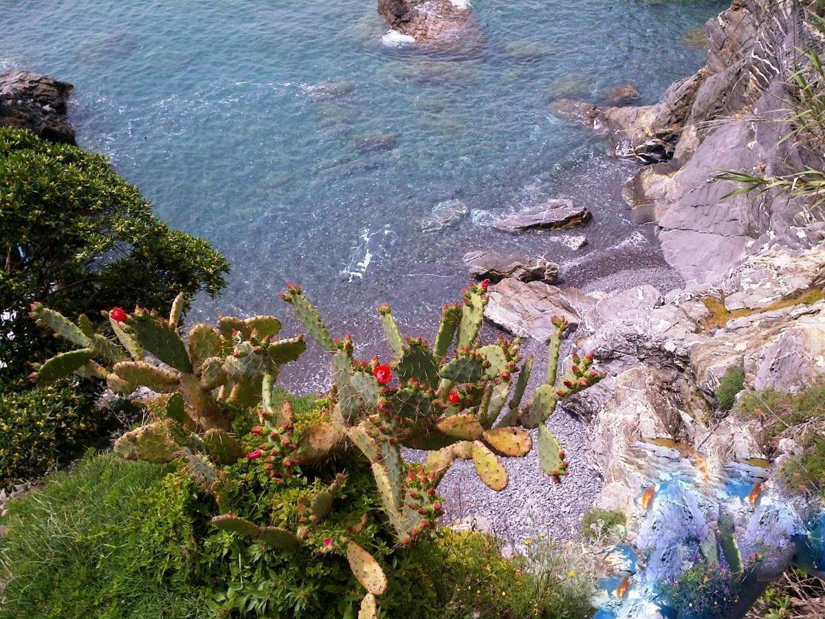 Le Case Di Recco By Holiday World Rom bilde